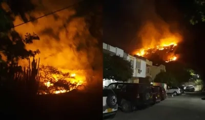 Las imágenes registran la magnitud del incendio forestal.