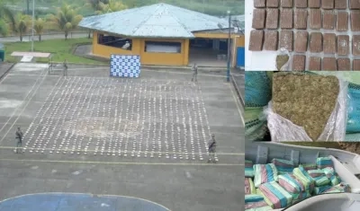 La marihuana incautada.