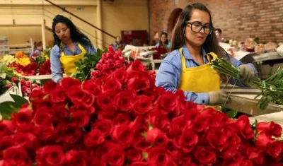  Las rosas y los bouquet colombianos tener una participación en el mercado estadounidense del 54 % y 86 %, respectivamente.