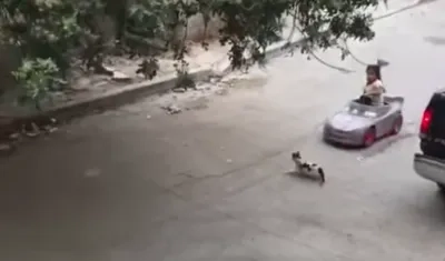 Niña segundos antes de arrollar al gato.