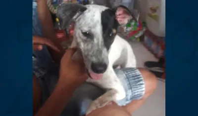 'Criminal' desapareció en El Bosque.