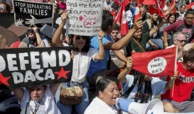 Un total de 19 instituciones presentó un "amicus brief".