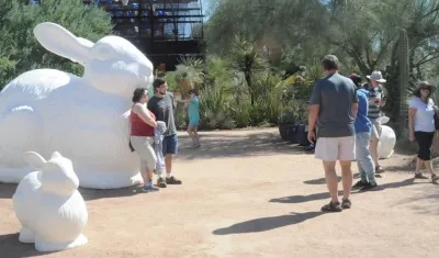 Los espectadores disfrutaron de las obras.