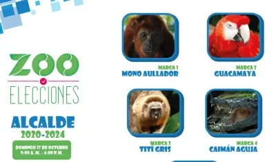 Elecciones Alcaldía del Zoológico de Barranquilla.
