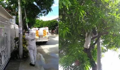 Bomberos controlaron la situación.