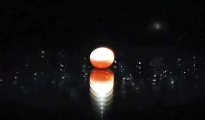 La 'Perla de Abu Dabi' tiene 8 mil años.