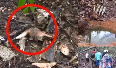 Imágenes del informe de Noticias Uno.