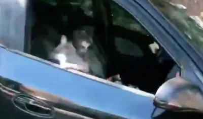 Momento del incidente.