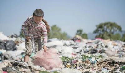 Los países con un menor porcentaje de desnutridos, por debajo del 2,5 % de la población, son Brasil, Cuba y Uruguay. 