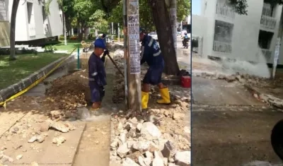 Triple A arregló daño que provocó coloración del agua.