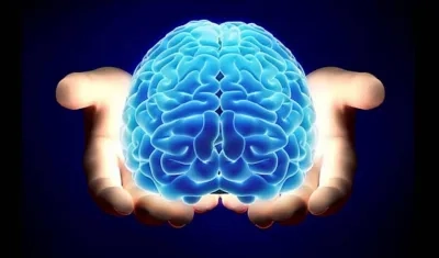  La Esclerosis Múltiple es una enfermedad del sistema nervioso central que interrumpe el flujo de información dentro del cerebro.