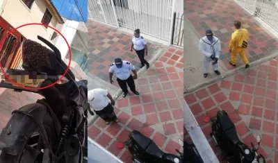 Los bomberos llegaron para retirar las abejas africanizadas.