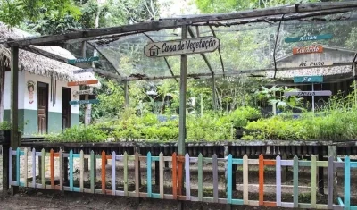 Escola da floresta, escuela de Brasil.