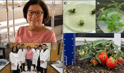 La científica colombiana Martha Lucía Orozco.