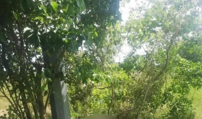 En esta zona enmontada fue encontrado el cuerpo.