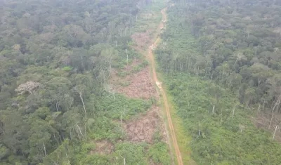 Desforestaron sin permiso para construir una vía.