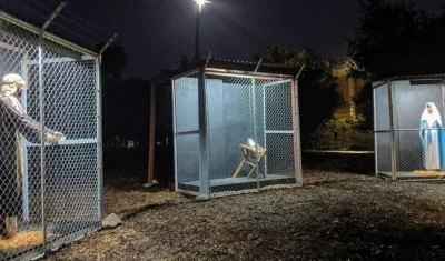 Así está armado el pesebre.