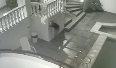 La cámara captó al ladrón.