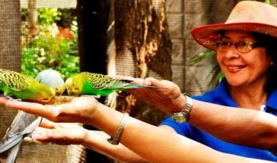 Visitante alimentando aves.