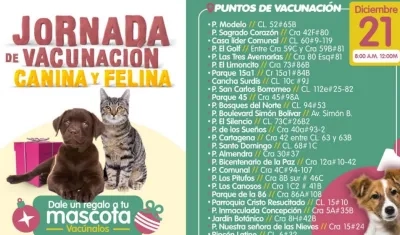 En 28 puntos de la ciudad.