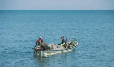 Resolución de MinAgricultura aclara medidas de conservación definidas para recurso de tiburón.
