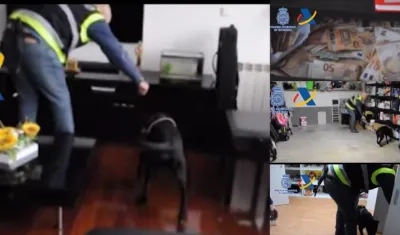 Imágenes del operativo en el que fueron capturadas 13 personas en España y liberadas dos colombianas.