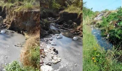 Aguas residuales y excrementos en el cauce del arroyo.