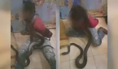 Joven interrogado con una serpiente.