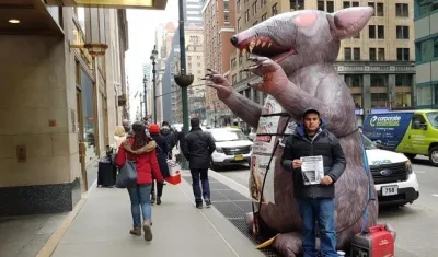El trabajador ecuatoriano del sindicato Local 78, Kleber Peralta, posa junto a una rata inflable de entre tres y cuatro metros, en una calle de Nueva York.