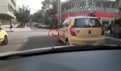 Arrolló a perrito en el Paseo Bolívar.