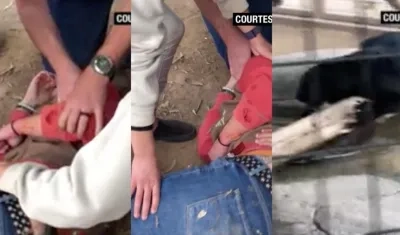 Imágenes de la mujer herida y del jaguar.