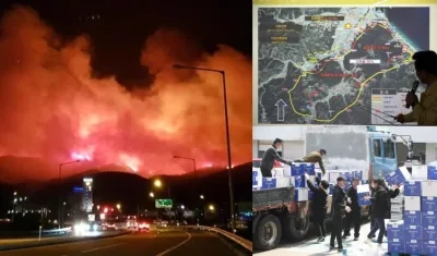 La imagen muestra un incendio propagándose por una montaña en Goseong, en la provincia de Gangwon.