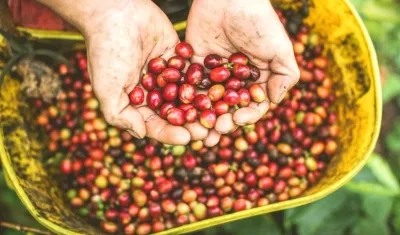 El objetivo es mitigar la actual coyuntura cafetera.