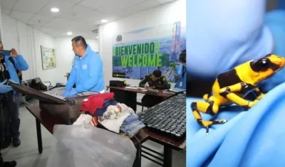 Estaban ocultas en pequeños recipientes.