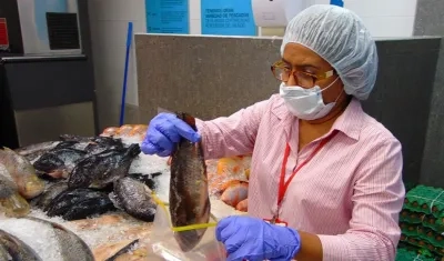 Funcionaria revisa el pescado en un establecimiento de venta de productos alimenticios.