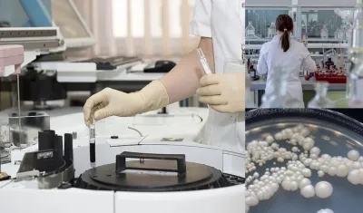 La diferencia del Candida auris frente a otros hongos es que es más virulento, lo que significa que es más resistente y dañino para las personas. 