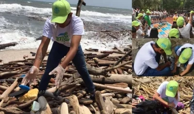 Imágenes de la labor.