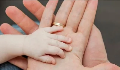 La actividad cerebral espontánea durante las etapas embrionarias impulsa el mapeo del tacto, de manera que este sentido surge en el cerebro antes del nacimiento. 