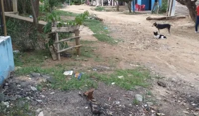 La tragedia apagó la alegría de una de las calles del barrio Faustino.