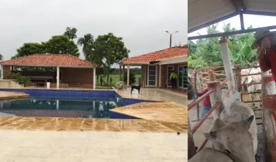 Los bienes ocupados. 