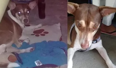 En el barrio La Sierrita buscan a 'Chispitas'.