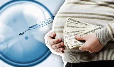 New York, Louisiana y Michigan son los únicos estados que prohíben la práctica del vientre de alquiler.