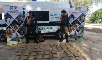 Esta es la droga decomisada.