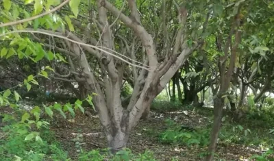 Lugar de los hechos