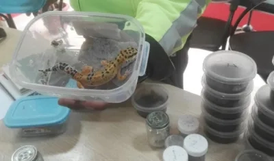 Especies del medio oriente rescatadas en frontera de Ecuador y Colombia.