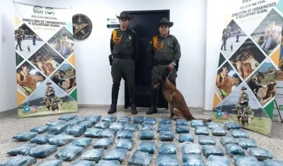 Marihuana incautada en Barranquilla.