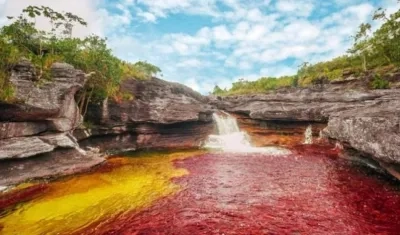 Caño cristales, en la sierra de la Macarena.