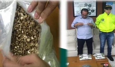 El oro incautado y el capturado.