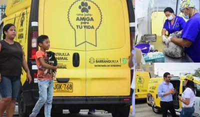 La Patrulla Animal realiza a diario esterilizaciones a gatos y perros.