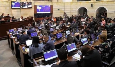 Plenaria del Senado de la República.